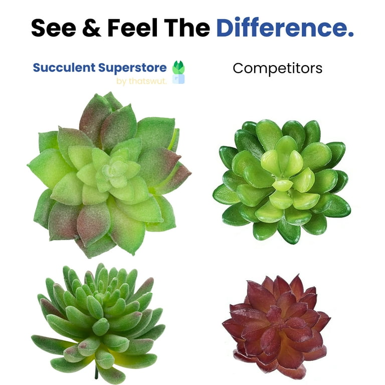 Thatswut - 20 Pack Bulk Large Assorted Realistic Artificial Faux Succulents  Aloe Plants Realistic Fake Succulent Plants - Walmart.com