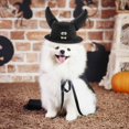 thumbnail image 4 of TIELUTT Halloween Pet Cat Witch Hat with Adjustable Horns Pet Clothes for Small Dogs Male Pet Clothes for Cats Pet Clothes Rack Pet Clothes for Medium Dogs Summer Pet Clothes for Large Dogs Girl, 4 of 4