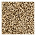 thumbnail image 4 of Rahr Standard 2-Row Uncrushed Malt - 10 lb. Bag, 4 of 5