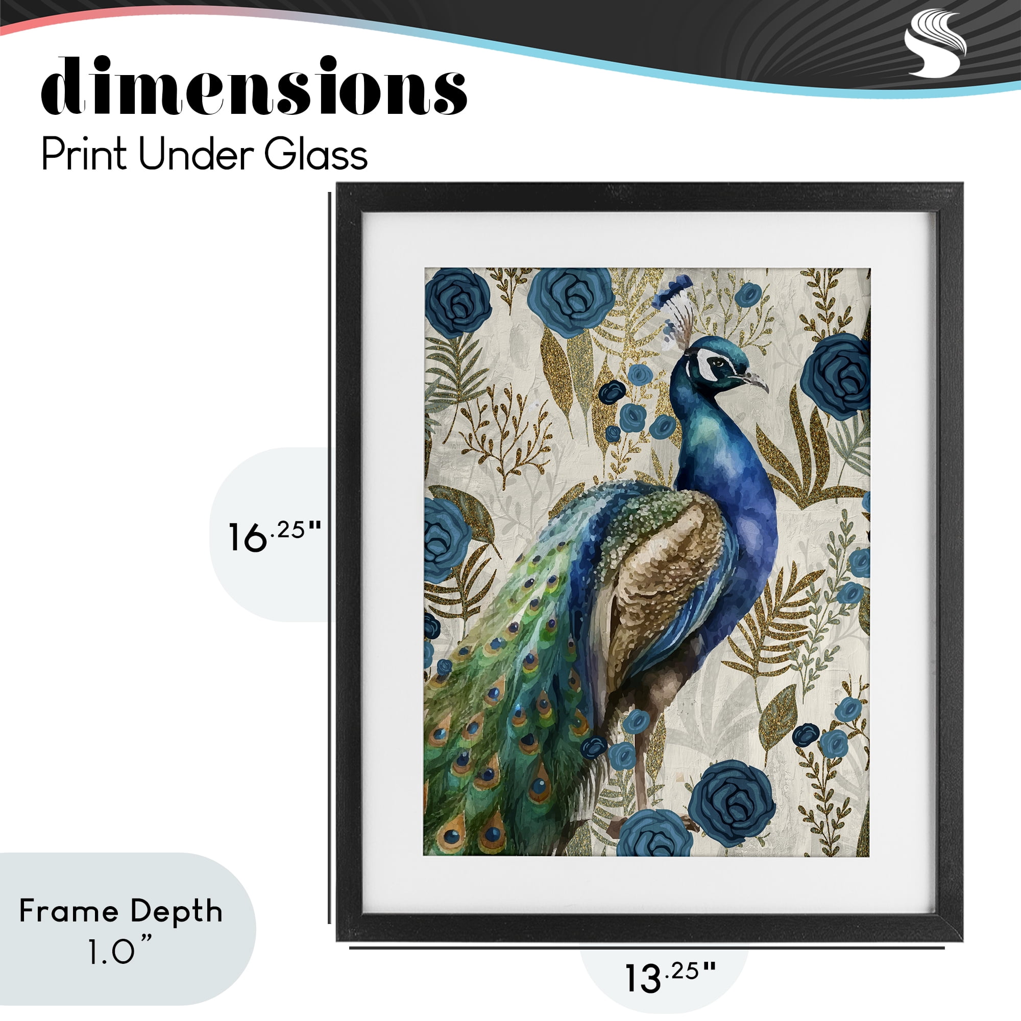 Stupell Industries Peacock Pride Botanicals Black Framed Print Under Glass, design by Kim Allen