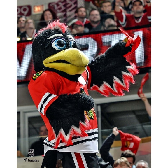 Tommy Hawk Chicago Blackhawks Unsigned Crowd Celebration Photograph