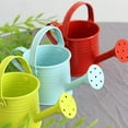 thumbnail image 3 of POINTERTECK Shower Watering Can Portable Wrought Iron Sprinkled Metal With Handle Gardening Tools Plant Spray, 3 of 14