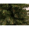 thumbnail image 3 of Northlight Green Unlit Full Artificial Canadian Pine Christmas Tree, 6', 3 of 4