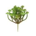 thumbnail image 2 of Zcyifa Artificial Succulent Artificial Succulent Plants Faux Succulent Fake Succulent Picks for Floral Arrangement Home Decoration (Green), 2 of 10