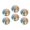 M071, variant on Glass Refrigerator Magnet 6Pcs Magnetic Fridge Sticker,Decor for Kitchen,Whiteboard,Cabinet,Elegant Chestnut Horse Galloping Along The Sandy Beach