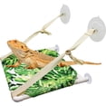 thumbnail image 1 of czcpp-Lizard Window Perch, Reptile Bed, Bearded Dragon Window Hammock, Reptile Tank Accessories, Suitable for Lizard Bearded Dragon Chameleon Kitten Guinea Pig Rat 12 × 11 Inches, 1 of 4