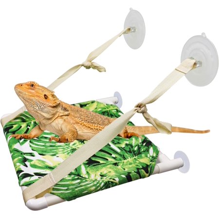 Bearded Dragon Window Perch, Lizard Window Hammock, Reptile Bed, Lizard Window Hammock, Reptile Tank Accessories, Suitable for Lizard Bearded Dragon Chameleon Kitten Guinea Pig Rat 12 × 11 Inches