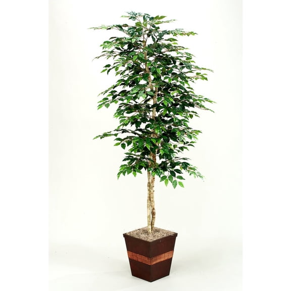 D & W Silks 7' Green Ficus in Square Metal Planter