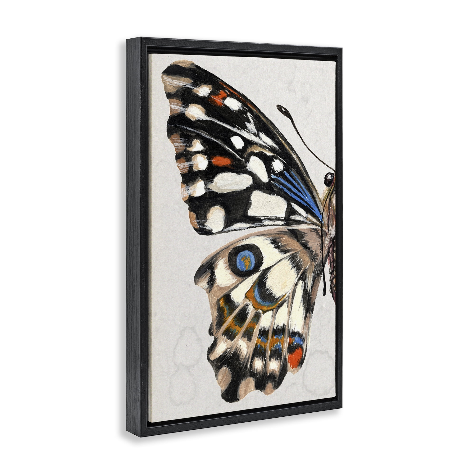 Stupell Industries Spotted Butterfly Wing Animals & Insects Painting Black Floater Framed Canvas Art Print Wall Art, 21 x 31