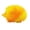 Double Colororange10426, variante sur Jouet Anti-Stress à Presser Hérisson, TPR Élastique Anxiété Ball Sensory Fidget pour Enfants Adultes, Jouet de Décompression Portable, 1 Unité avec Musique