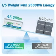 Redodo 24V 100Ah LiFePO4 Battery Deep Cycle Lithium Battery with 100A BMS, 2560Wh, up to 15000 Cycles, 10-Year Lifetime, Perfect for Solar Home System