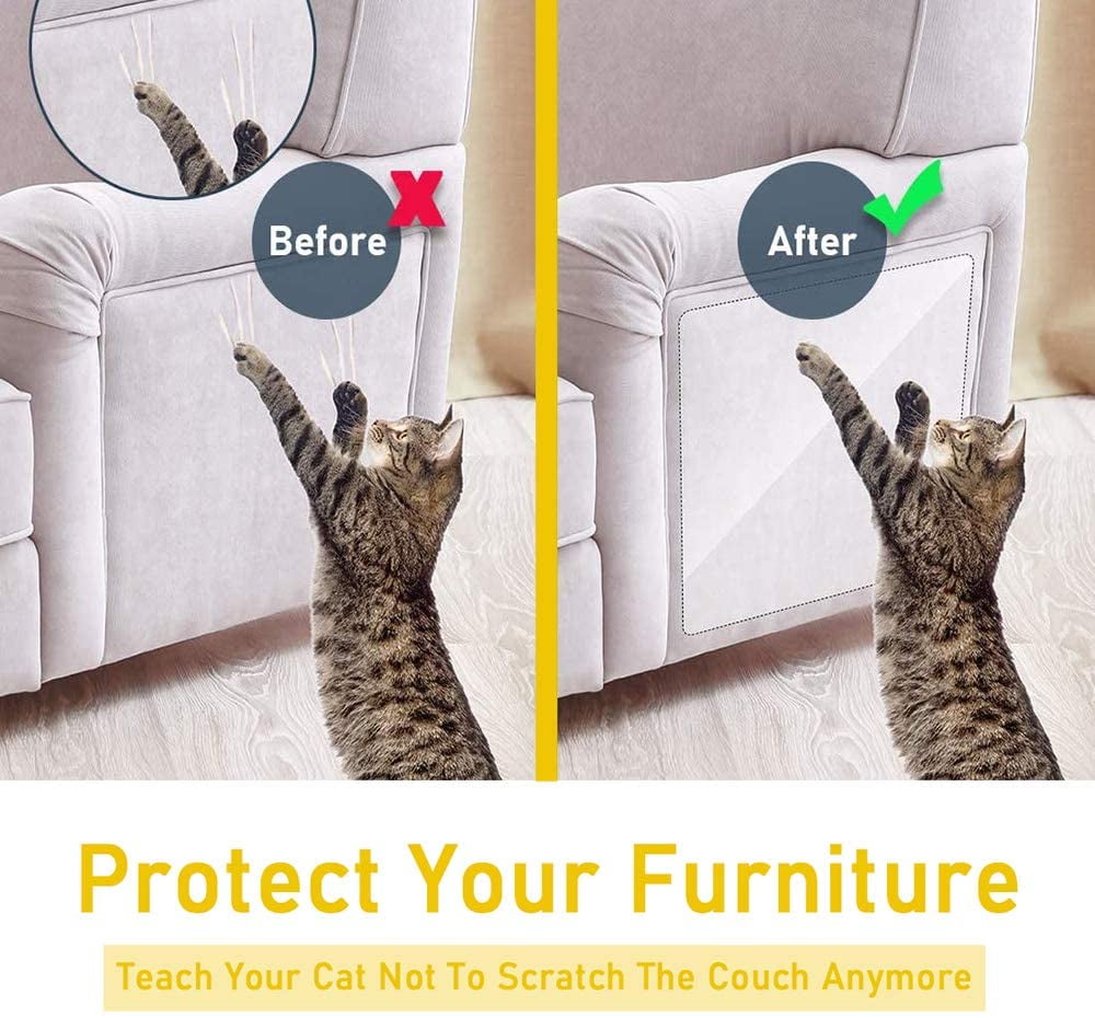 how to teach your cat not to scratch you