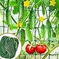 thumbnail image 2 of Climbing Net For Plants, 18-Strand Green Garden Trellis Netting For Vines Flowers Pothos, Plant Support Mesh Protection Against Birds Animals, 0.9X1.8M (36X72Inch) For Gardening, 2 of 6