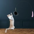 thumbnail image 3 of DOLITY Interactive Cat Teasing Rod Creative Kitten Teaser Toy for Living Room Pink Pink Black, 3 of 9
