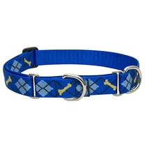 1in Dapper Dog 15-22 Martingale Dog Collar