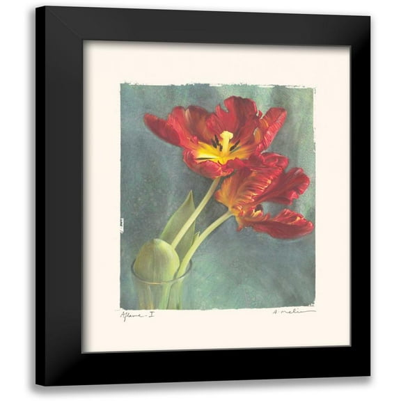 Melious, Amy 12x14 Black Modern Framed Museum Art Print Titled - Aflame I