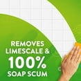 thumbnail image 4 of Scrubbing Bubbles® Mousseur de Douche Méga, Élimine la Résidu de Savon des Baignoires, des Murs de Douche et Plus, Parfum Pluie, 567g, 567g, Parfum Pluie, 4 of 5