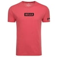 thumbnail image 2 of Unisex Sportiqe Red Chicago Bulls 1966 Collection Comfy Tri-Blend T-Shirt, 2 of 3