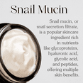 thumbnail image 6 of Mizon Black Snail, All In One Cream, 1.18 fl oz (35 ml), 6 of 11