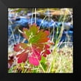 thumbnail image 2 of Tenoever, William 15x15 Black Modern Framed Museum Art Print Titled - Greer in Fall 14, 2 of 5