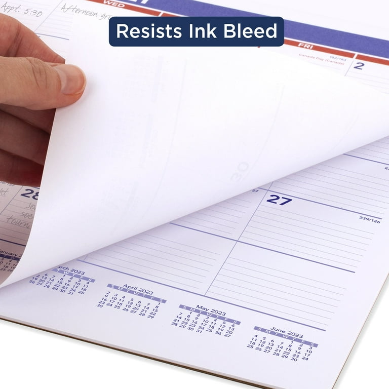 AT-A-GLANCE Monthly 2023 RY Wall Calendar, Medium, 12