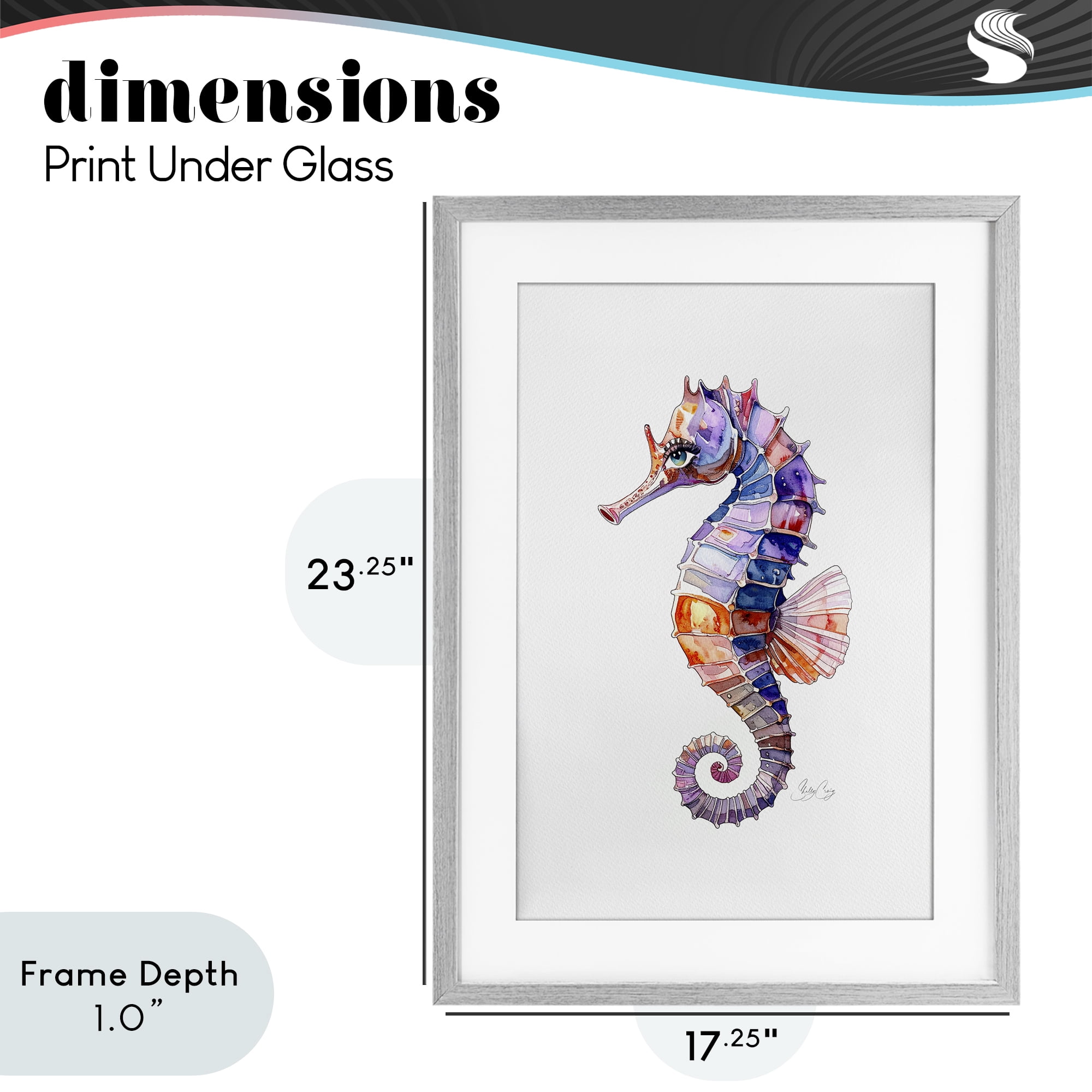 Stupell Industries Sea Whisper Seahorse Gray Framed Print Under Glass, design by Shelly Craig