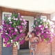 thumbnail image 4 of Promotion!Maojin 24 racimos de campanillas artificiales, flores artificiales resistentes a los rayos UV para macetas colgantes de interior/exterior y decoraciones de ventanas, 4 of 6