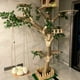 thumbnail image 4 of Indoor Simulation Tree for Cat, Large Family Climbing Frame, Pet Training Supplies, Tower Scrapers for Cats, Pet Accessories ShopWise Round, 4 of 9