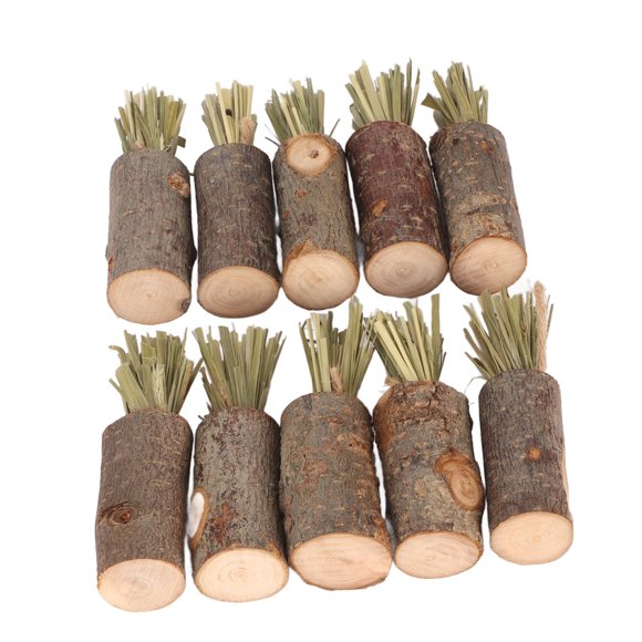 Hamster Chew Toys, 10Pcs Chew Sticks Edible Organic Chinchilla Food Chew Toys For Chinchilla Guinea Pigs Squirrel Hamster Bunny