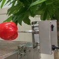 thumbnail image 3 of Heavy Meat BBQ Rotisserie Rotating Motor Eletric Grill Barbecue Spit Metal Rotisserie Motor Moteur, 3 of 5