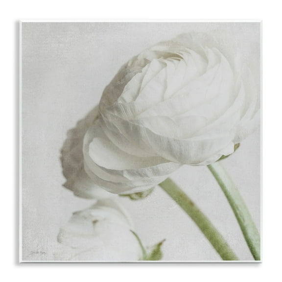 Stupell Industries Charming White Peony Botanical & Floral Painting Unframed Art Print Wall Art, 12 x 12