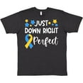 thumbnail image 3 of Inktastic Just Down Right Perfect Down Syndrome Awareness Ribbon T-Shirt, 3 of 5