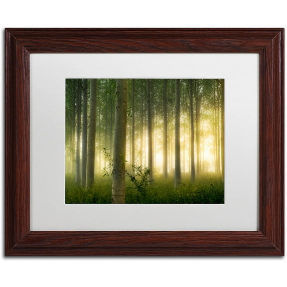 Trademark Fine Art "Enchanted World" Canvas Art by Mathieu Rivrin, White Matte, Wood Frame
