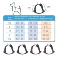 thumbnail image 4 of Pechera / Arnes Para Perros Que No Lastima. Talla Mediana, 4 of 8