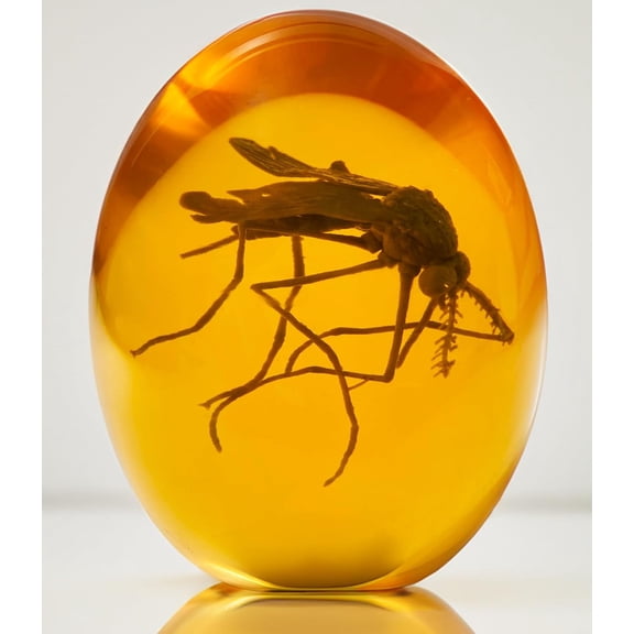 Jurassic 3D Mosquito in Amber Resin | True 3D Original Design Realistic Flat Bottom Shaped | Measures 3.3 Inches Tall Dinosaur DNA Replica World | Collectable Prop | Cane Mount | Paper Weight