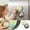A005- E, variant on Double Sided Dishwasher Clean Dirty Sign with Cute Cat Design, 3.5 Inches, for Kitchen Refrigerator, Magnetic Decoration