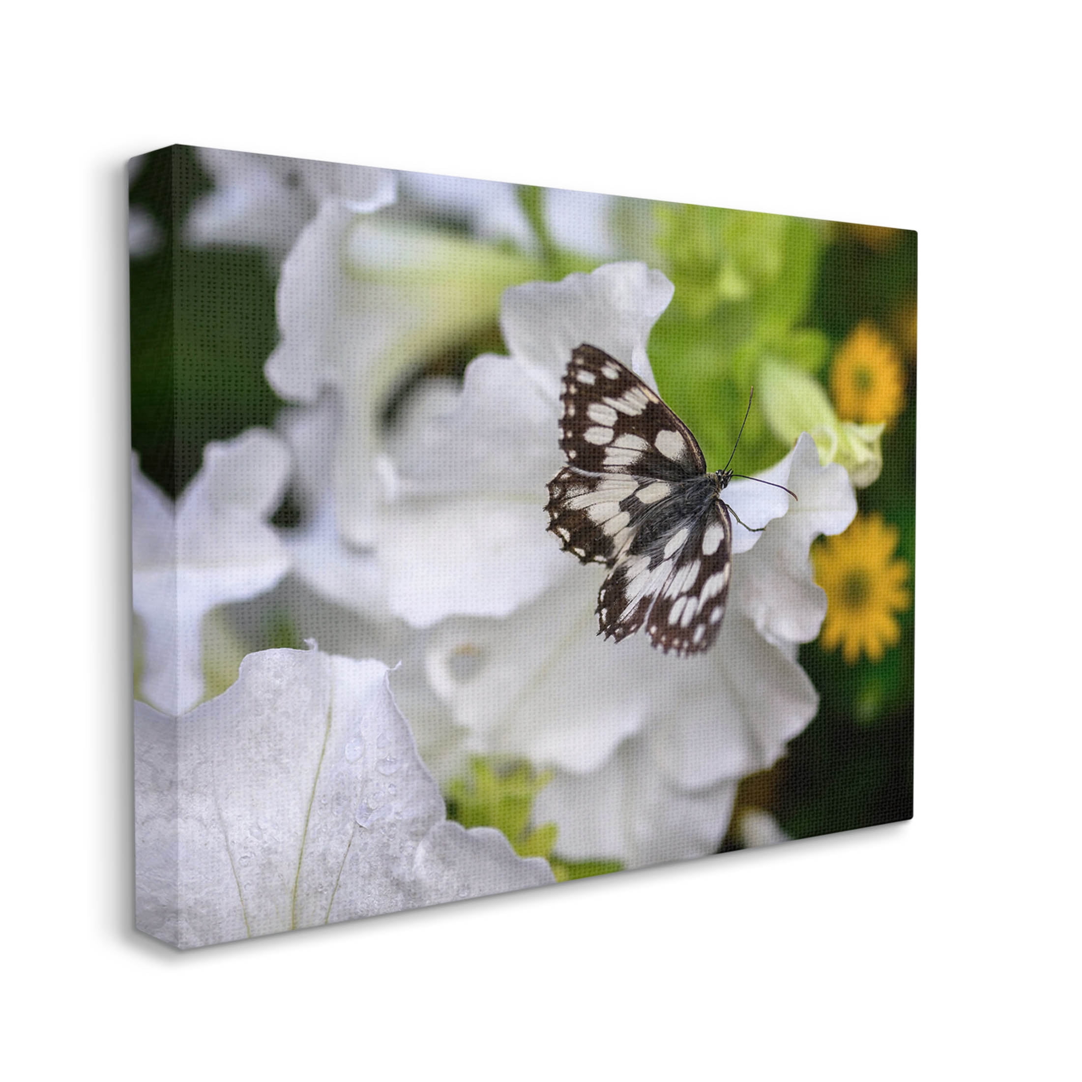 Stupell Industries Butterfly Geranium Blossom Photograph Gallery Wrapped Canvas Print Wall Art, Design by Daphne Polselli