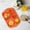 H, variant on YHDSHY Clearance Items! Wheats Straw Children's Meal Plates Student Five Meal Plates Thickened Cafeteria Partition Tableware Multi Lunch Plates Clearance Sales Today Deals Prime