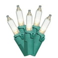thumbnail image 1 of Holiday Time 100-Count Warm White LED Glass Mini Christmas Lights, with Green Wire, 1 of 6