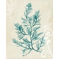 thumbnail image 2 of Popp, Grace 15x18 Black Ornate Wood Framed with Double Matting Museum Art Print Titled - Teal Seaweed I, 2 of 4