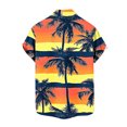 thumbnail image 5 of Yieetim Hawaiian Small V-Neck Short Shirts For Mens, Quickly Dry Summer Short Shirts , Tropical Vacation Stylish Print Beach Shirts, Vintage Print Board Shirts For Surfing XXXXL, 5 of 7