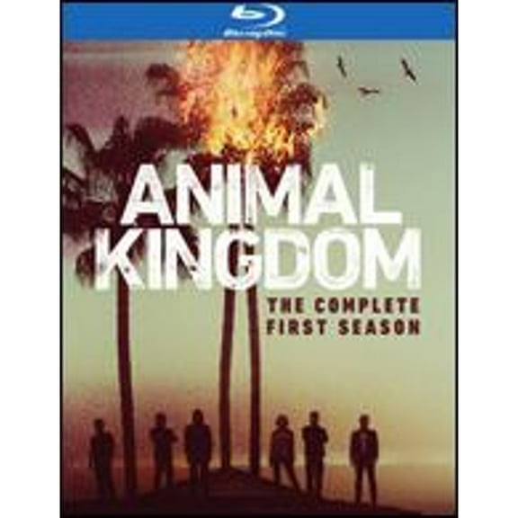 Pre-Owned Animal Kingdom: The Complete First Season [Blu-ray] [2 Discs] (Blu-Ray 0883929563937)