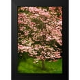 thumbnail image 2 of Geyman, Vitaly 17x24 Black Modern Framed Museum Art Print Titled - Festive Dogwood, 2 of 5