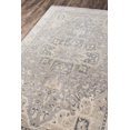 thumbnail image 2 of Momeni Banaras Area Rug, Grey, 9'6" X 13'6", 2 of 6