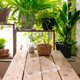 thumbnail image 4 of unbranded 2Ud Bandejas Transparentes Para Macetas Plástico Base Drenaje Plantas Interior Y Exterior, 4 of 8