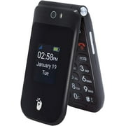 Free 1-Year Service Included - Snapfon EZ Flip Phone