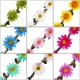 thumbnail image 3 of Lady Girl Headbands Multicolor Daisy Flower Crown Floral Garland para Festival Wedding Party, 9 piezas Xemadio CDWJ413, 3 of 7