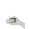 thumbnail image 2 of Primal Elements CBPRS Ananas Rhum Splash 9,5 oz Deux Mèche Couleur Bol Bougie, 2 of 2