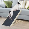 thumbnail image 3 of Chien Rampe Pliante Rampes pour Chiens avec Tapis Antidérapant Échelle pour Animaux de Compagnie Portable avec Poignée de Transport et Structure Robuste pour les Lits Bas Canapés Chaises Ou Canapés Bureau Extérieur Intérieur Noir, 3 of 4