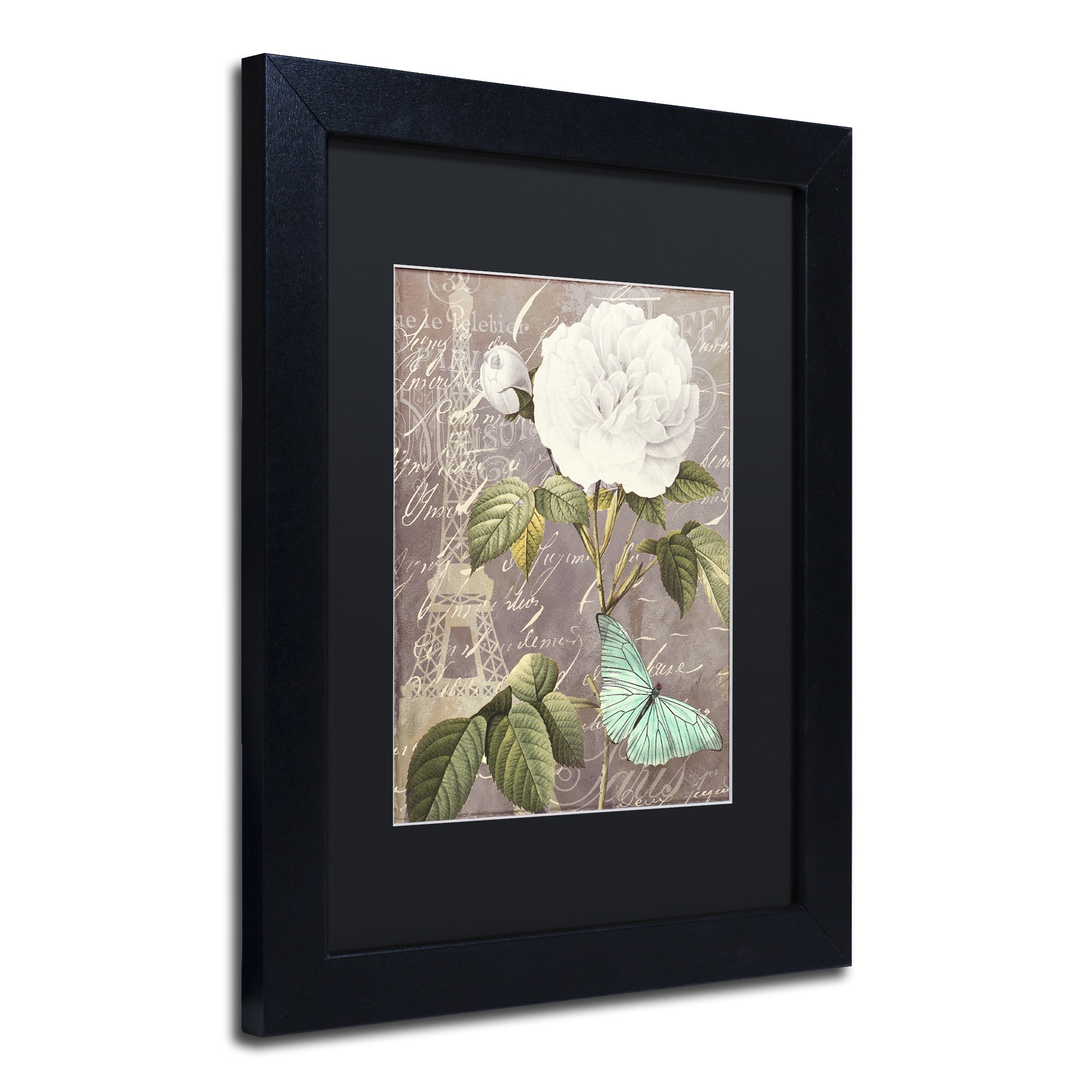 Trademark Fine Art "White Rose" Canvas Art by Color Bakery, Black Matte, Black Frame